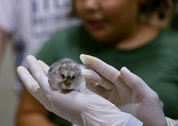 Galería de imágenes