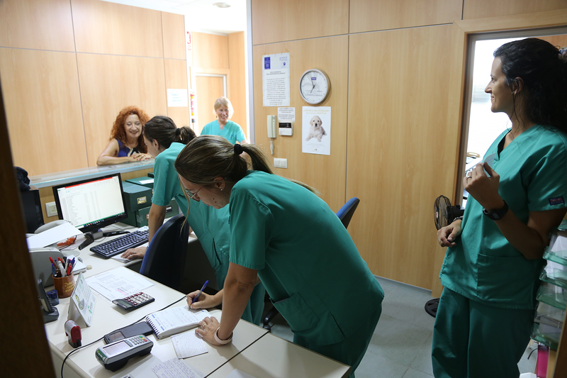 Centro M&eacute;dico Veterinario Benicarlo 9