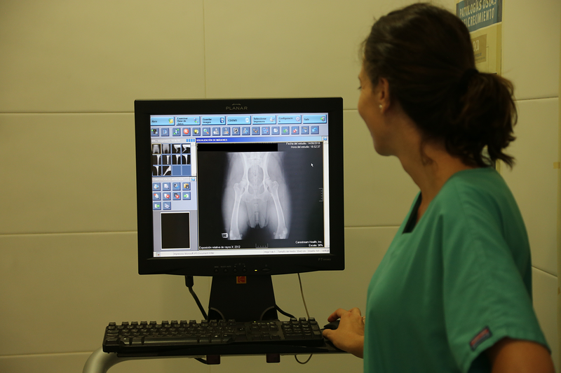 Centro M&eacute;dico Veterinario Benicarlo 2