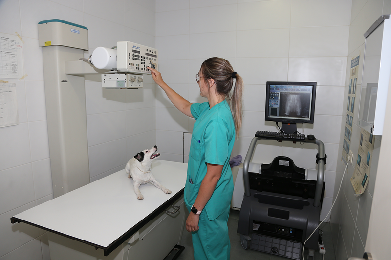 Centro M&eacute;dico Veterinario Benicarlo 8