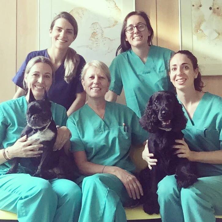 Centro M&eacute;dico Veterinario Benicarlo Benicarló