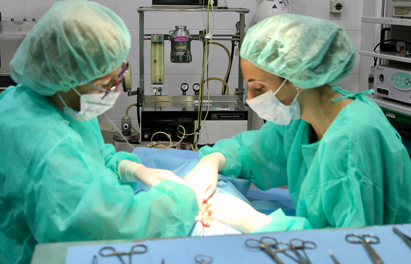 Centro M&eacute;dico Veterinario Benicarlo 7