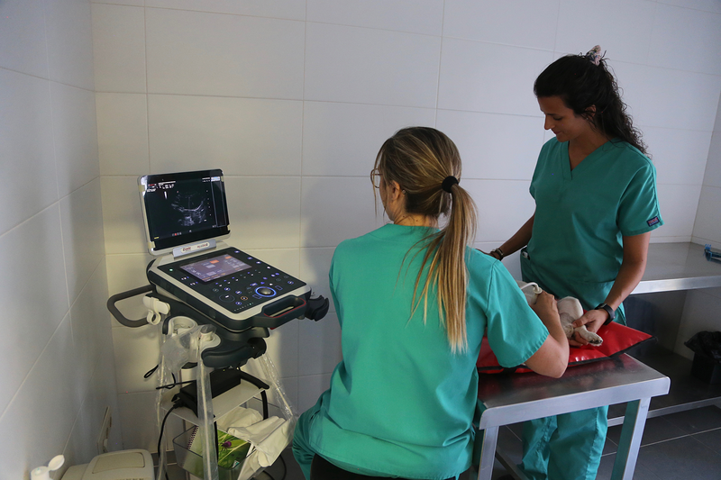 Centro M&eacute;dico Veterinario Benicarlo 5