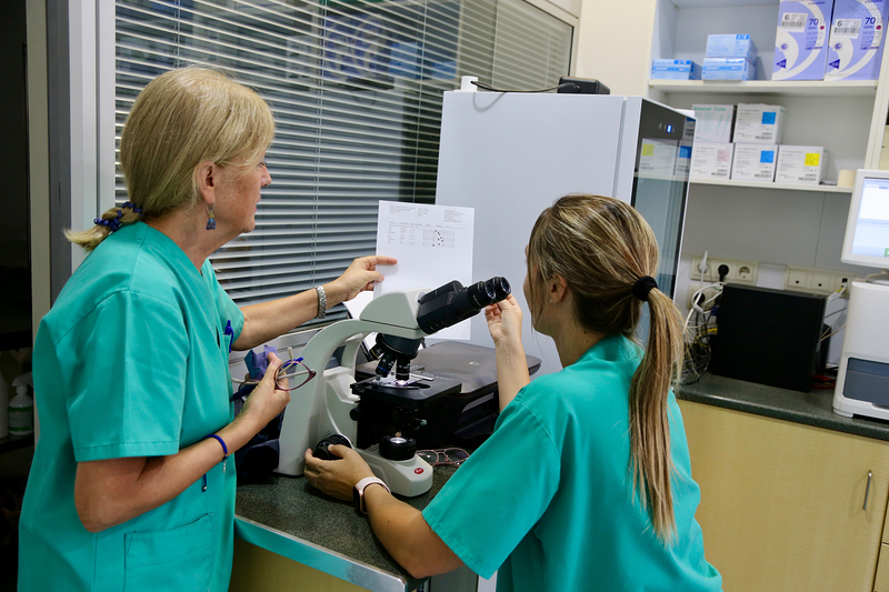 Centro M&eacute;dico Veterinario Benicarlo 4