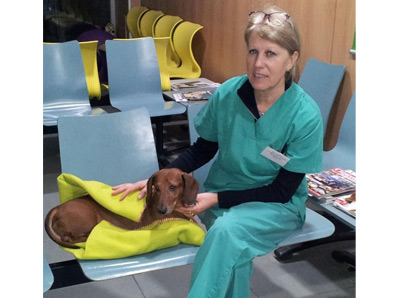 Centro M&eacute;dico Veterinario Benicarlo 13