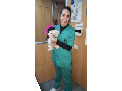 Centro M&eacute;dico Veterinario Benicarlo 12