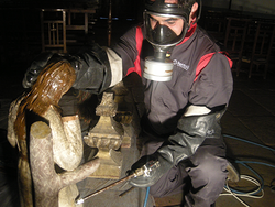 Rentokil DESINFECCION, DESRATIZACION Y DESINSECTACION Rentokil DESINFECCION, DESRATIZACION Y DESINSECTACION