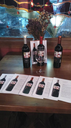 Galería de imágenes