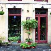 Galería de imágenes