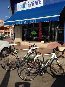 Galería de imágenes