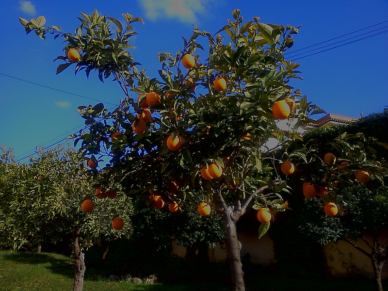 Villa Peralta Alhaur&iacute;n De La Torre Alquiler Vacacional 19