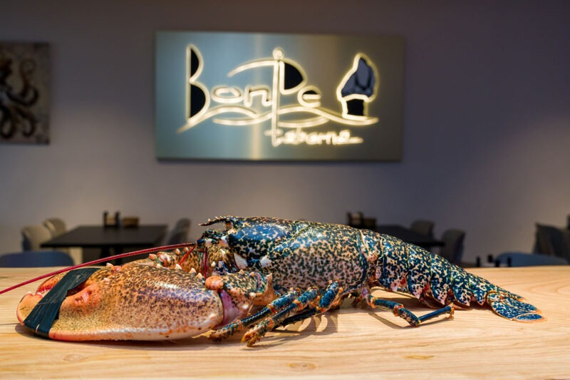 Bon P&eacute; Taberna Cedeira