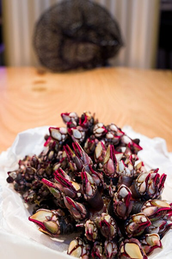 Galería de imágenes