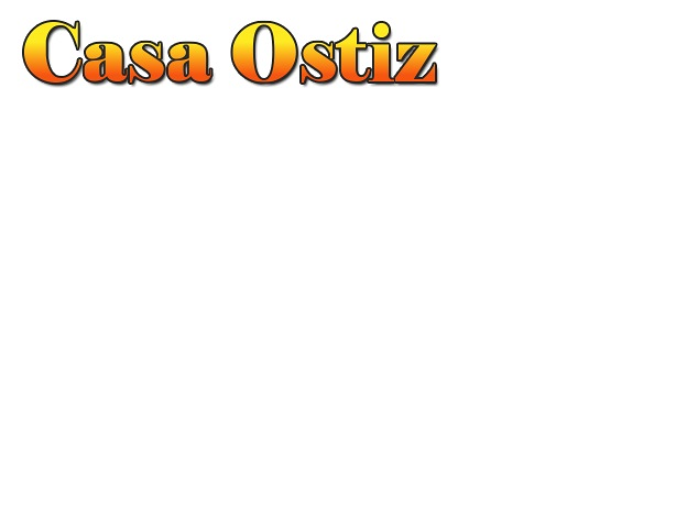 Casa Ostiz LIBRERIAS