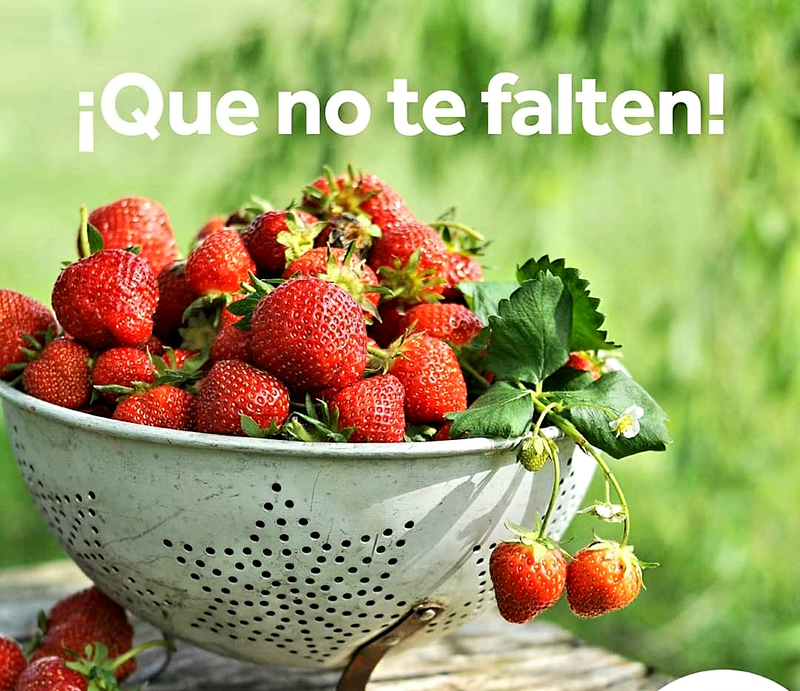 Herbolario La Botica Natural, Centro Diet&eacute;tico 22