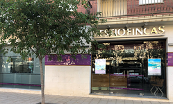 Galería de imágenes