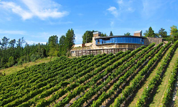 Galería de imágenes