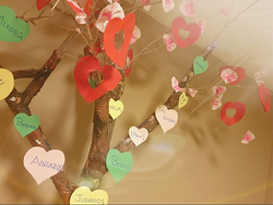 Galería de imágenes