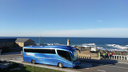 Galería de imágenes