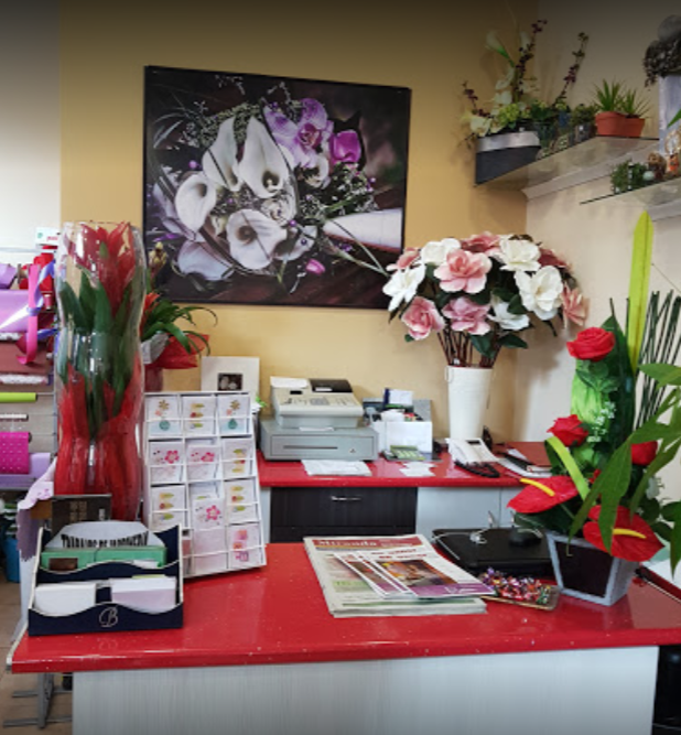 Galería de imágenes