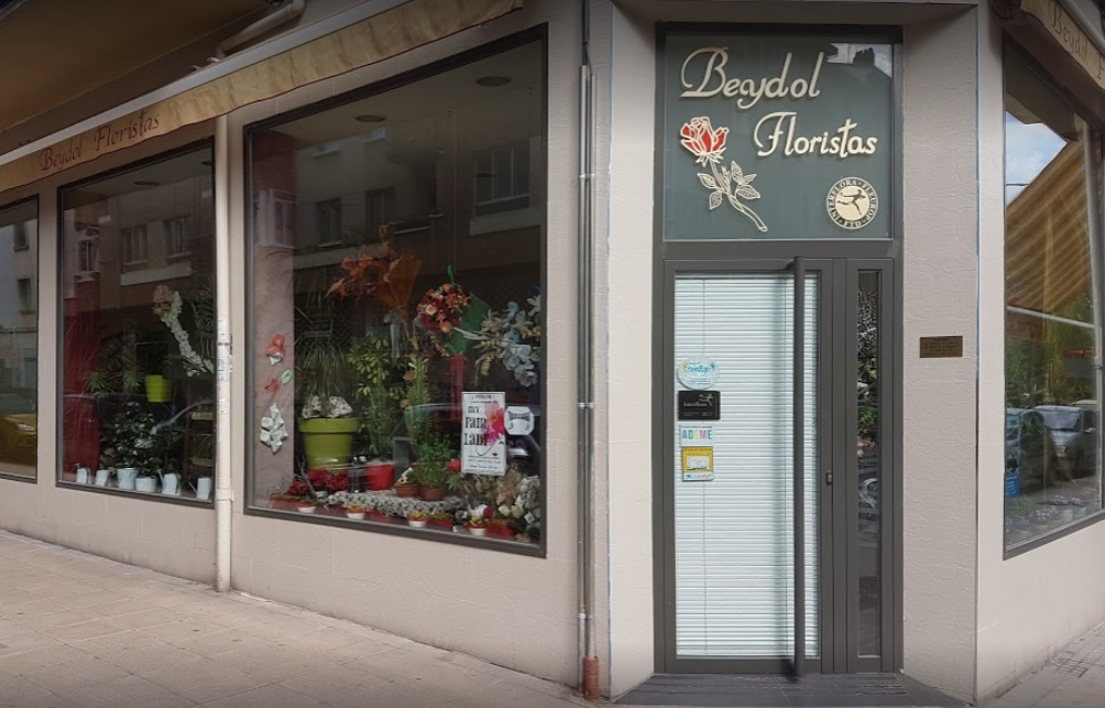 Galería de imágenes