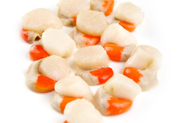 Casalnova Coru&ntilde;a SLU 5