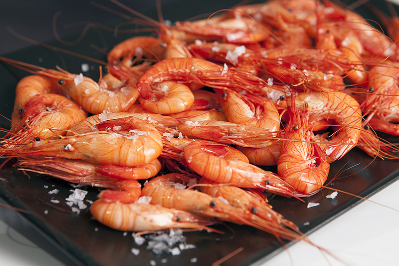 Casalnova Coru&ntilde;a SLU 3