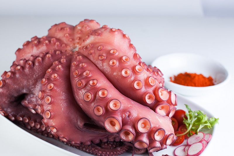 Casalnova Coru&ntilde;a SLU 10