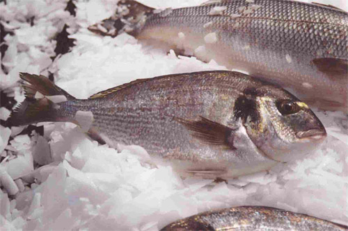 Casalnova Coru&ntilde;a SLU 16