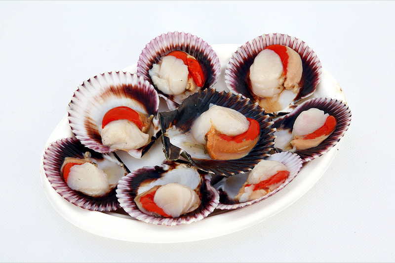 Casalnova Coru&ntilde;a SLU 9