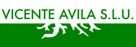 Vicente Avila S.L.