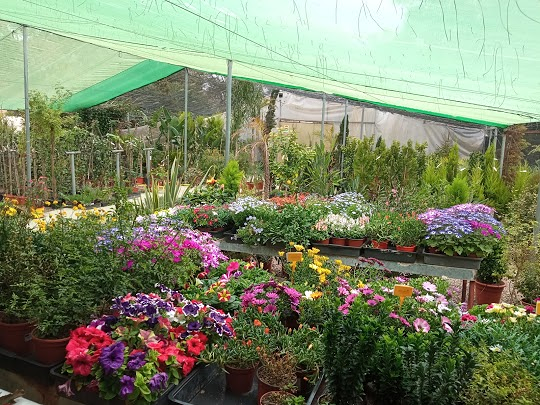 Vergel Garden Centro De Jardineria 2