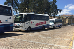 Galería de imágenes