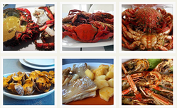 Galería de imágenes