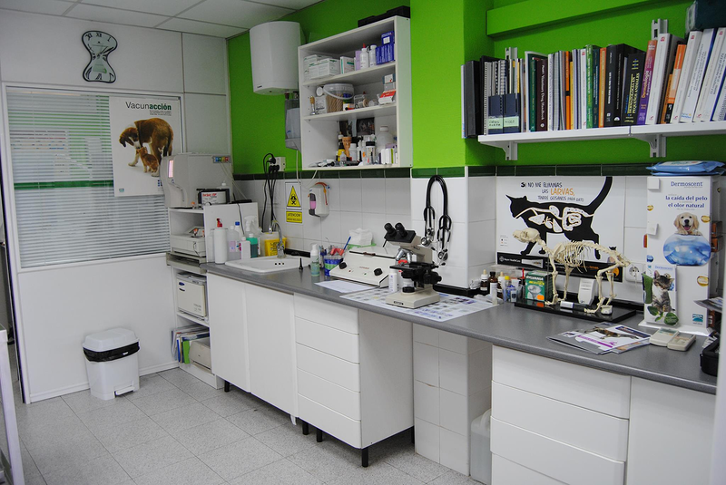 Sa Indioteria Clinica Veterinaria 3