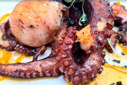 Galería de imágenes