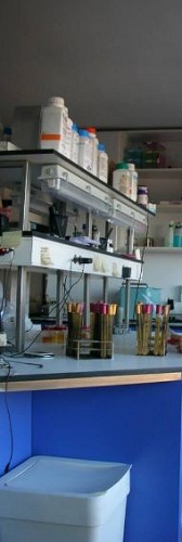 Galería de imágenes