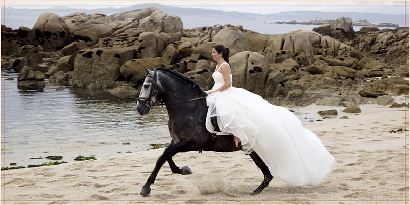 Dixxifotos-A&F Technology 30