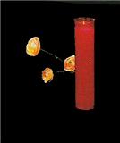 Cerer&iacute;a Cortizo 8