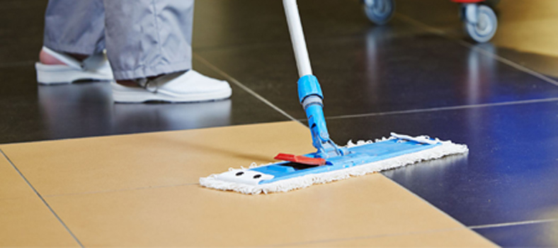 Limpiezas Toledo LIMPIEZA: EMPRESAS