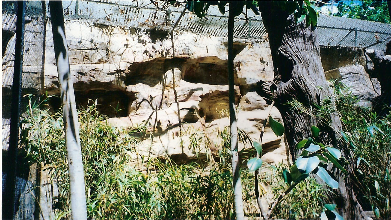 Tematic World S.L 23