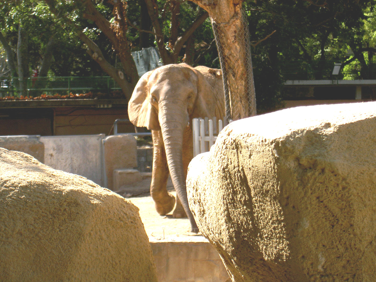 Tematic World S.L 10