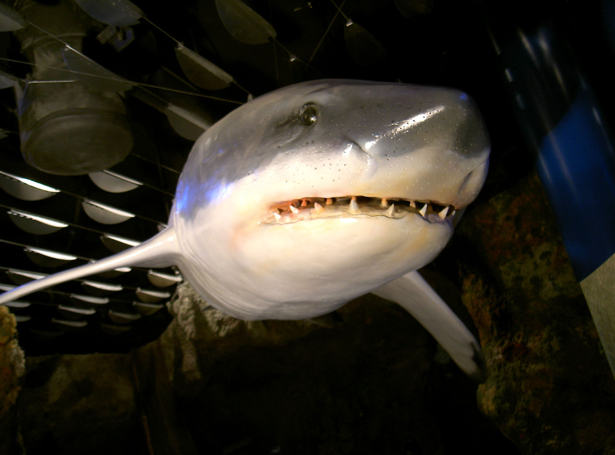 Tematic World S.L 16