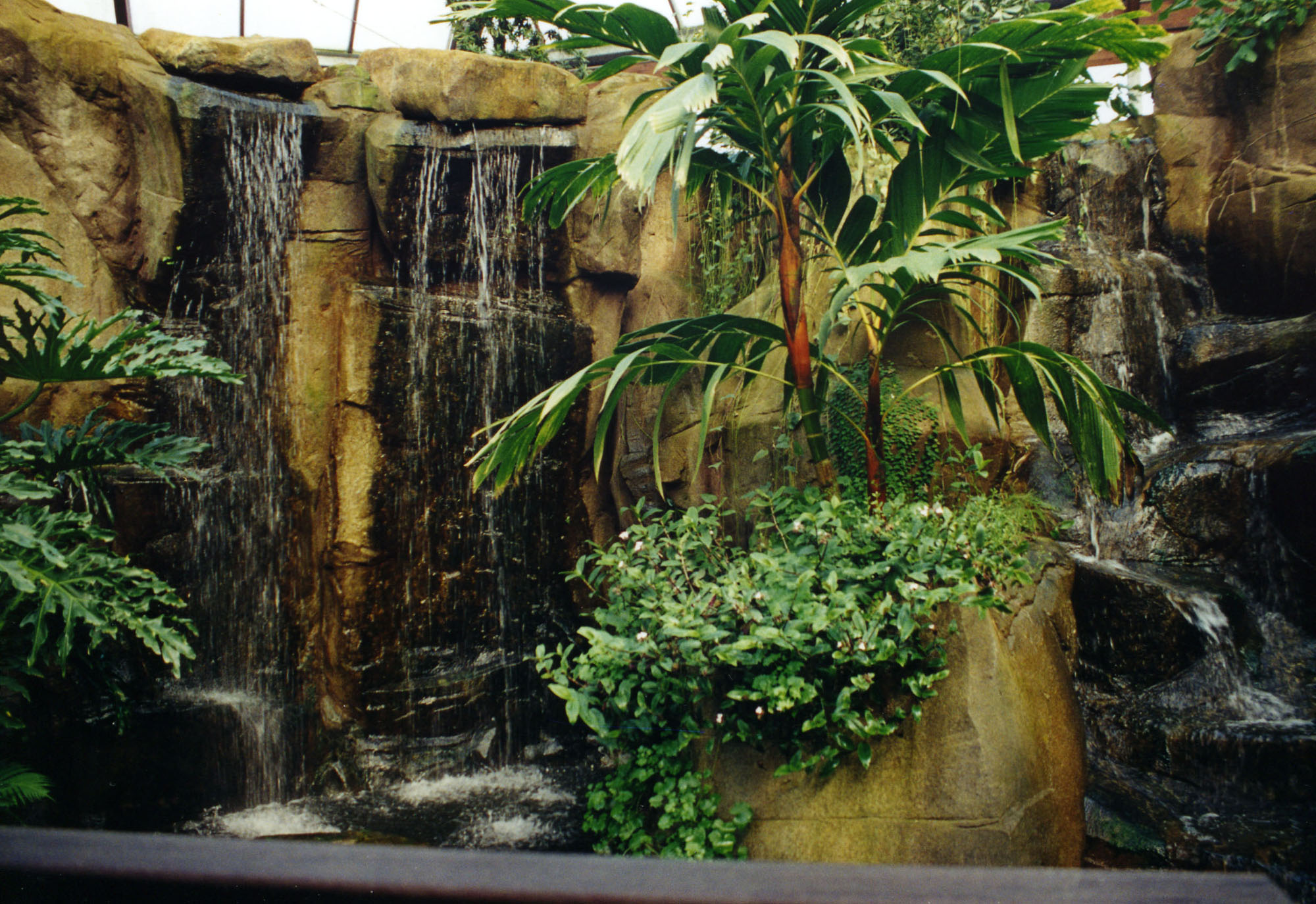 Tematic World S.L 12