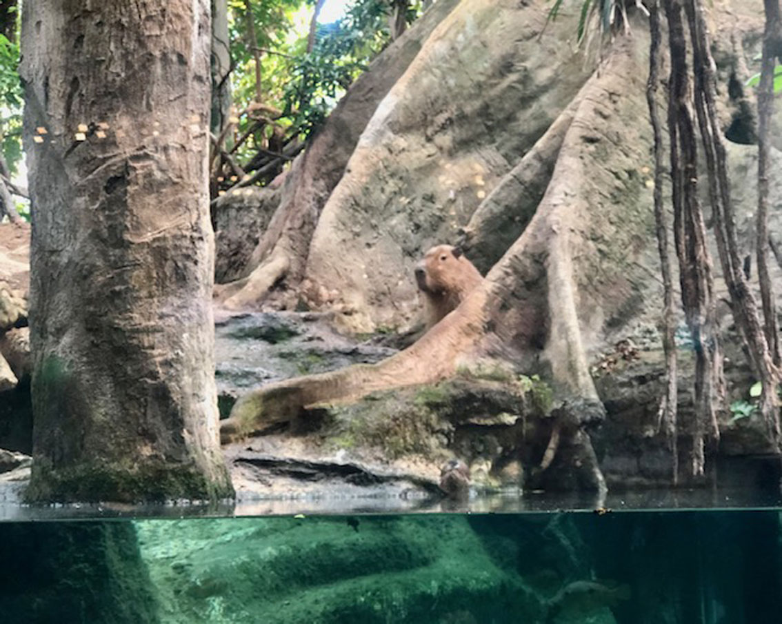 Tematic World S.L 11