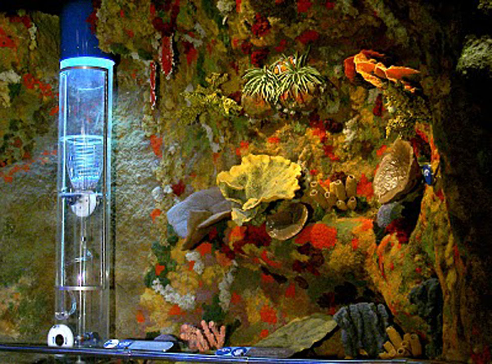 Tematic World S.L 21