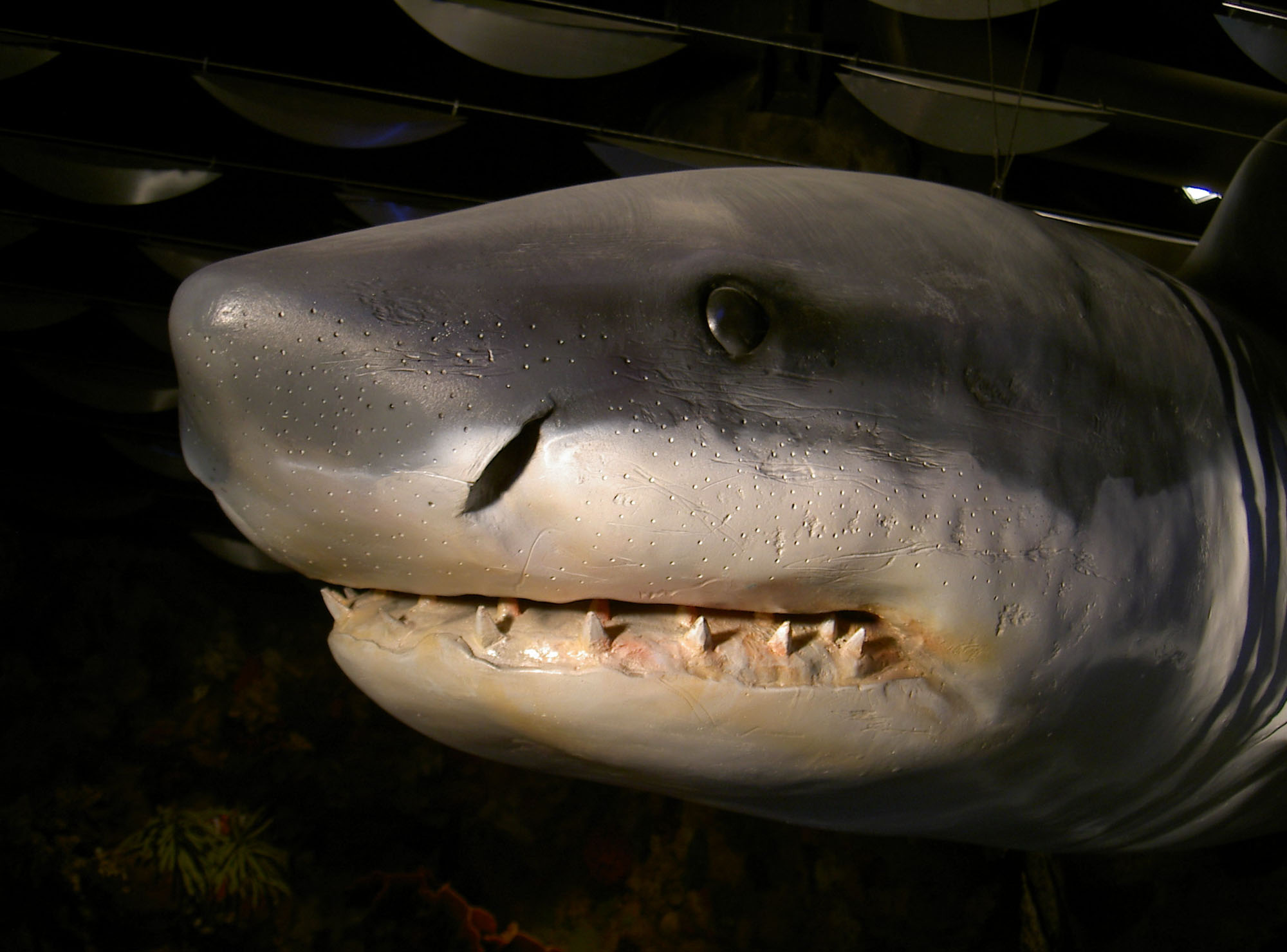 Tematic World S.L 17