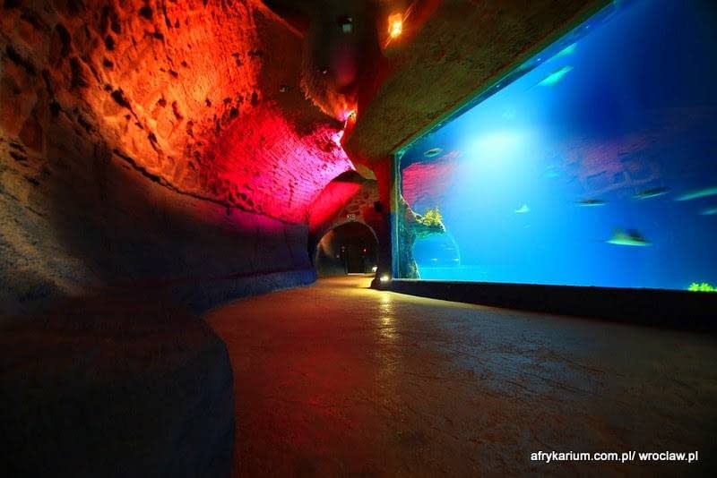 Galería de imágenes