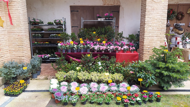 Viveros Ángel Cid VIVEROS PARA JARDINERIA