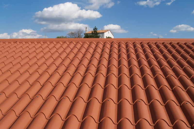 Jacinto Mu&ntilde;oz Yebenes 4